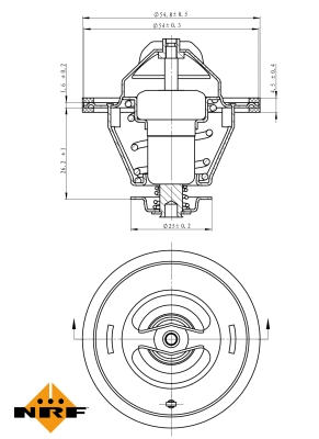 Thermostat, coolant (725125)