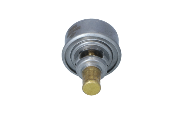 Thermostat, coolant (725254)