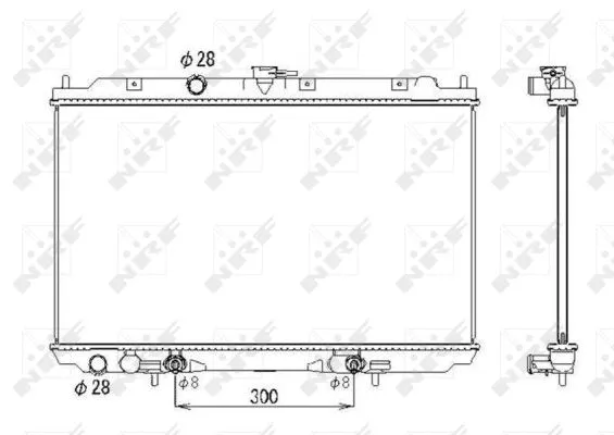 Radiator, engine cooling (53436)