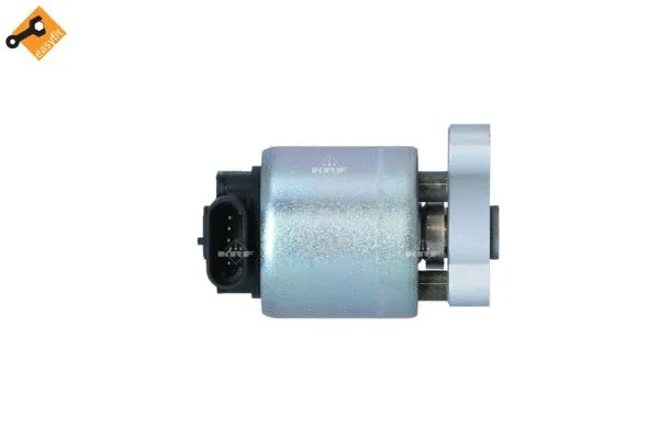 EGR Valve (48394)