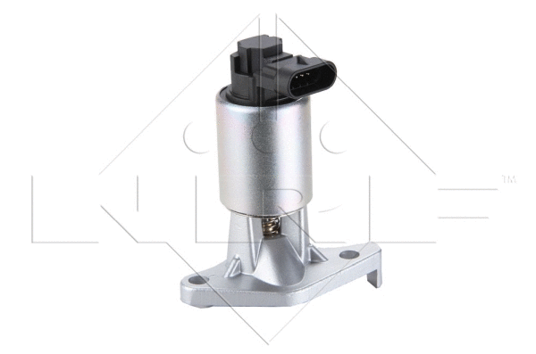 EGR Valve (48343)