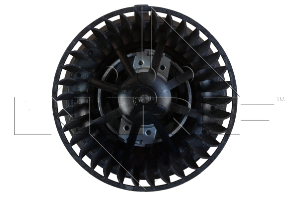 Interior Blower
