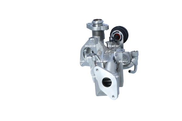 Cooler, exhaust gas recirculation