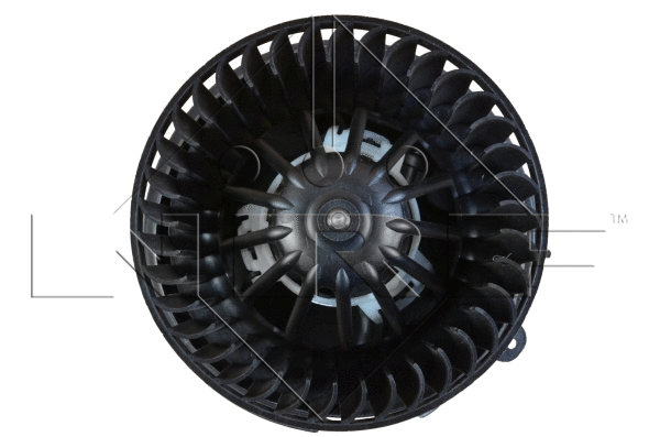 Interior Blower
