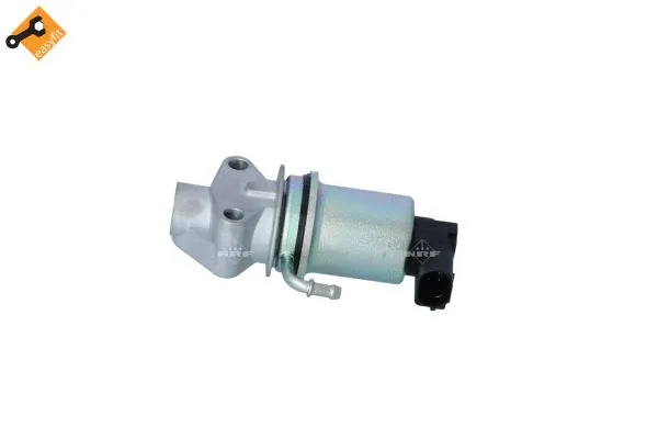 EGR Valve (48336)