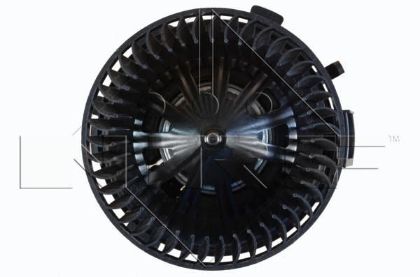Interior Blower