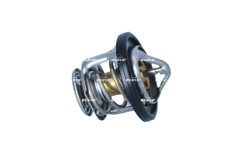 Thermostat, coolant (725284)