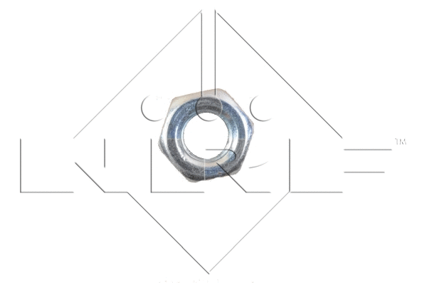 Radiator, engine cooling (513508)
