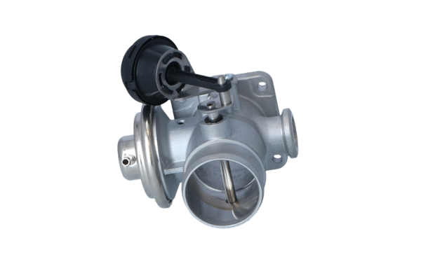 EGR Valve (48620)