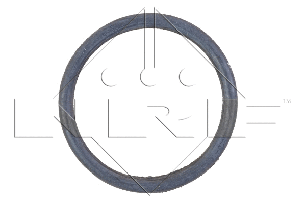 Radiator, engine cooling (58366)