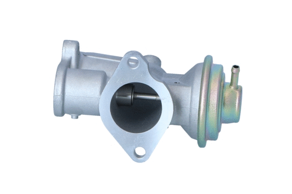 EGR Valve (48617)