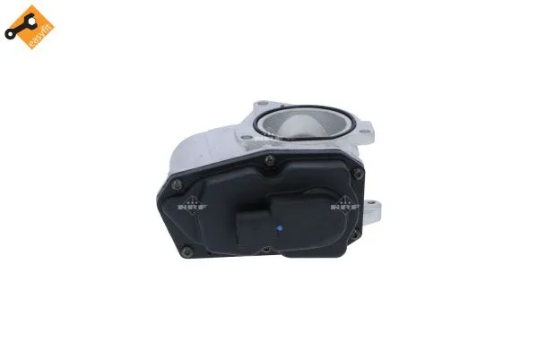 EGR Valve (48389)