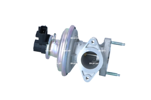 EGR Valve (48643)