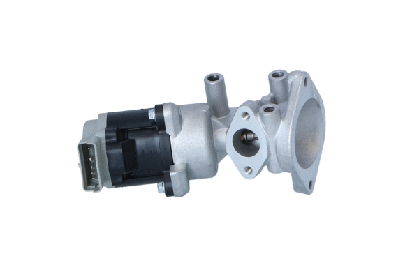 EGR Valve (48602)