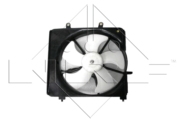 Fan, engine cooling