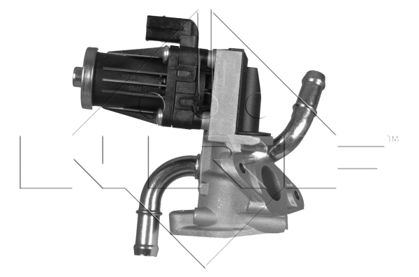 EGR Valve