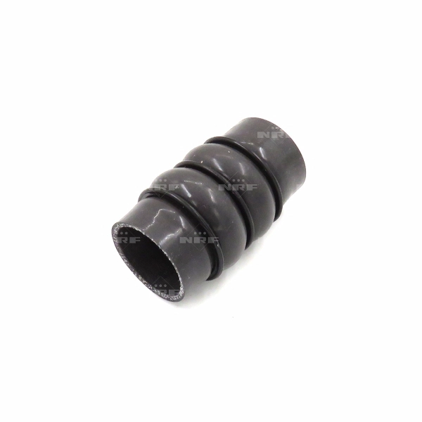 Charge Air Hose (166178)