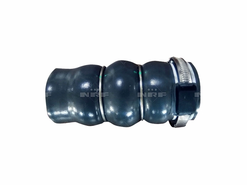 Charge Air Hose (166009)