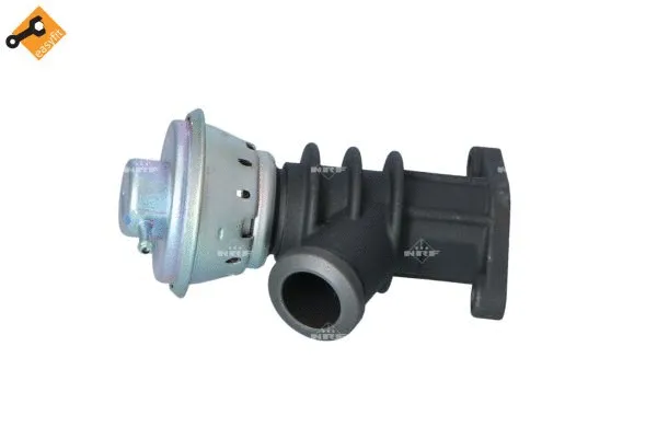 EGR Valve (48387)