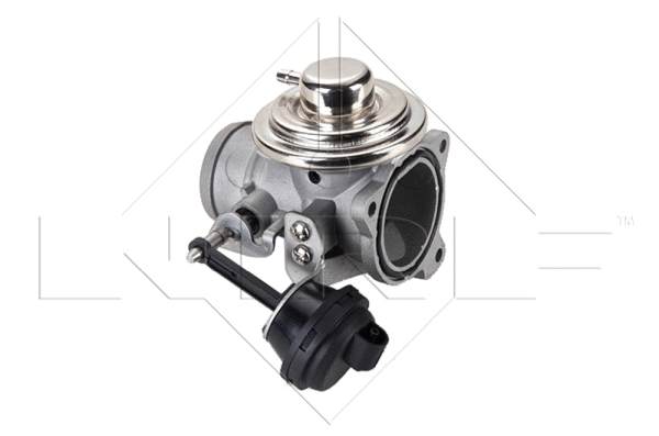 EGR Valve (48335)