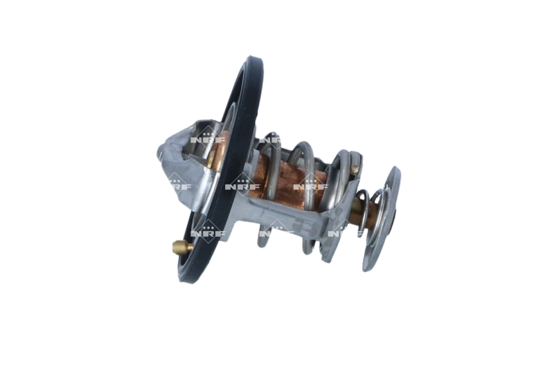 Thermostat, coolant (725248)