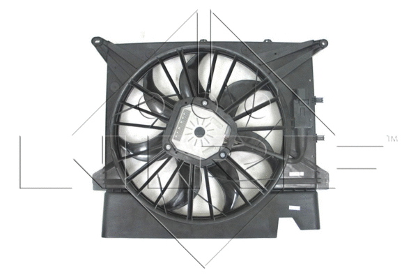 Fan, engine cooling