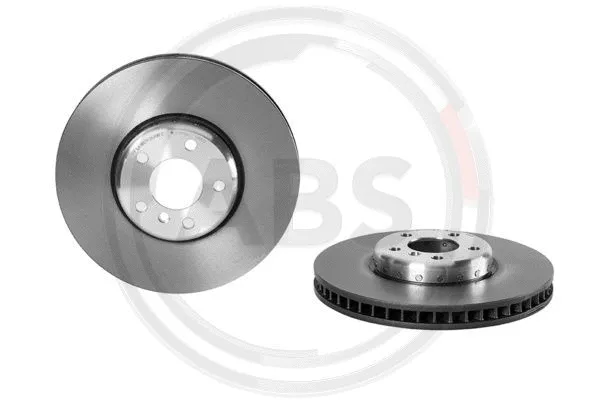 Brake Disc (09.C406.13)