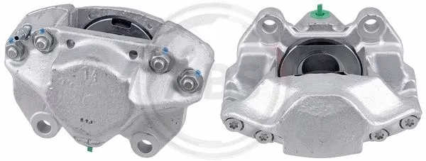Brake Caliper (428571)