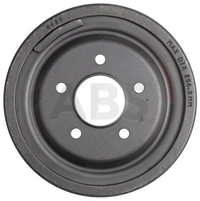 Brake Drum (2844-S)