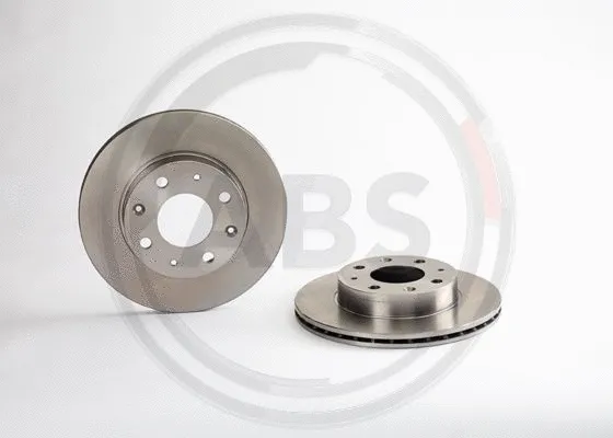 Brake Disc (09.3102.10)