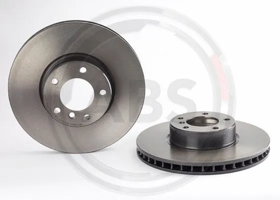 Brake Disc (09.8961.21)