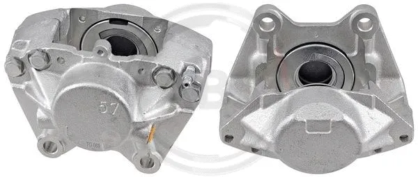 Brake Caliper (428681)