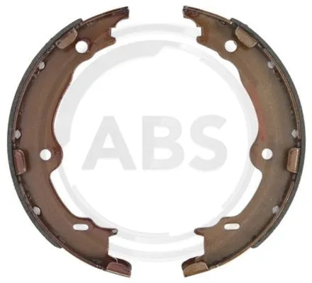 Brake Shoe Set, parking brake (9361)
