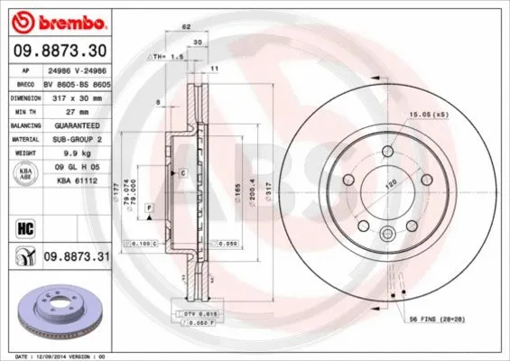 Brake Disc (09.8873.31)