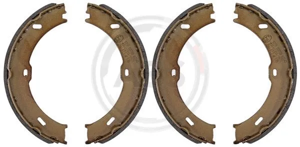 Brake Shoe Set, parking brake (9209)