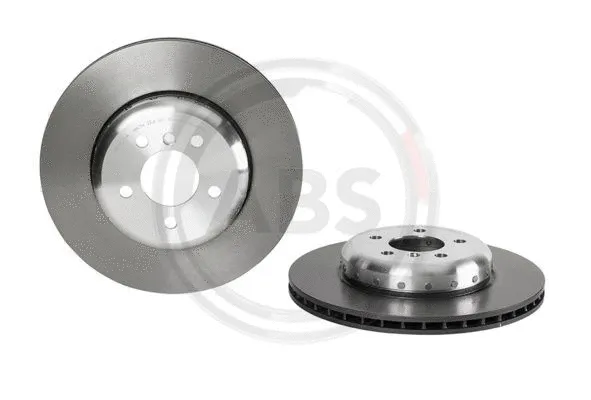 Brake Disc (09.C401.13)