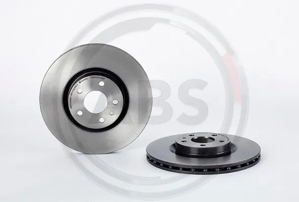 Brake Disc (09.9624.24)