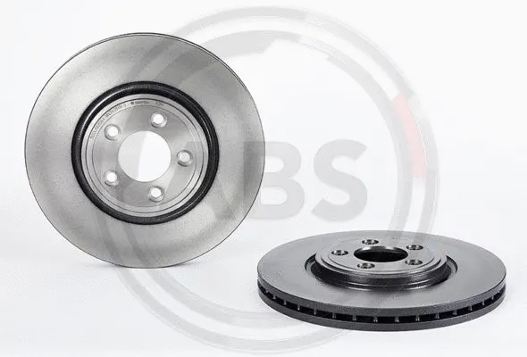 Brake Disc (09.B311.11)