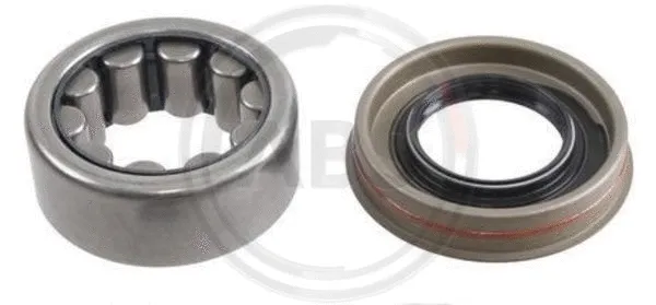 Wheel Bearing Kit (201235)