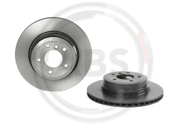 Brake Disc (09.C315.11)