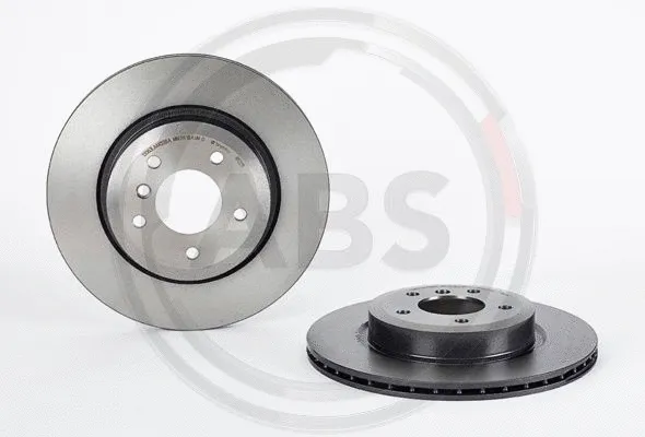 Brake Disc (09.R122.11)
