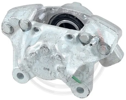 Brake Caliper (430671)