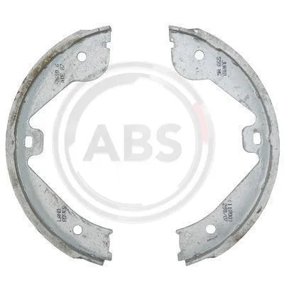 Brake Shoe Set, parking brake (9229)