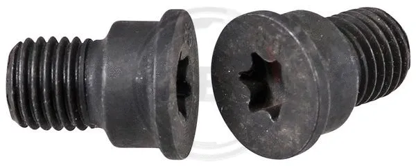 Bolt, brake disc (96521)