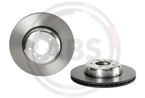 Brake Disc (09.C403.13)