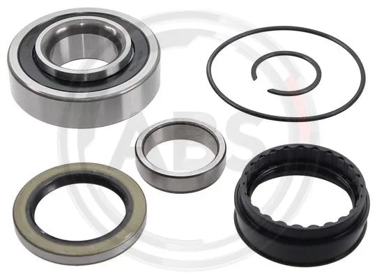 Wheel Bearing Kit (201369)