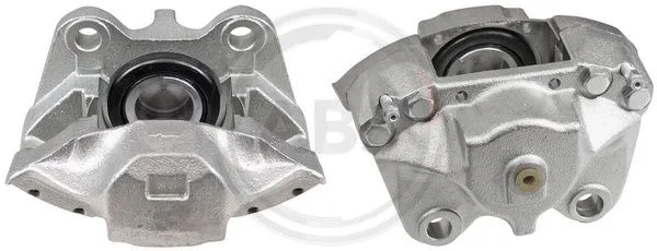 Brake Caliper (428922)