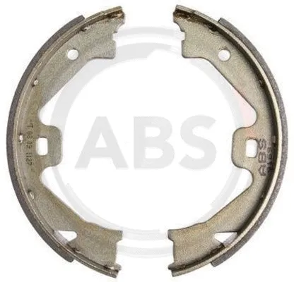 Brake Shoe Set, parking brake (9169)