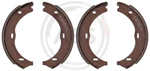 Brake Shoe Set, parking brake (9176)