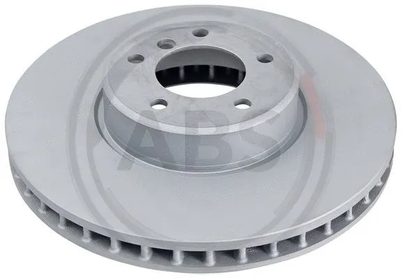Brake Disc (17599)